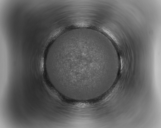 X0000096480494200801241447