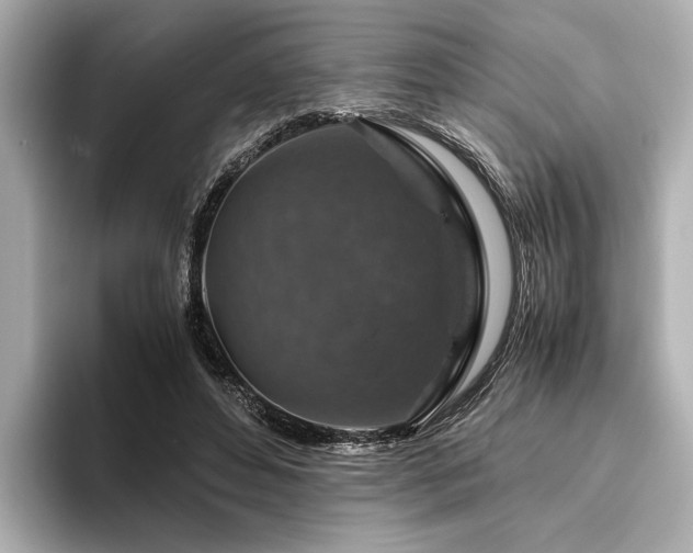 X0000096480496200801241447