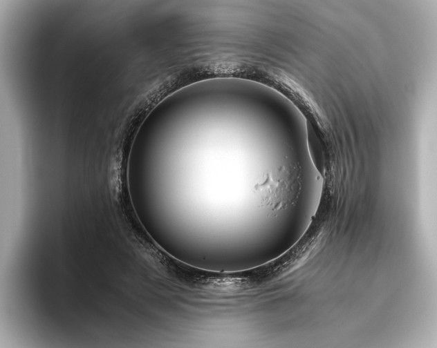 X0000096480497200801241447