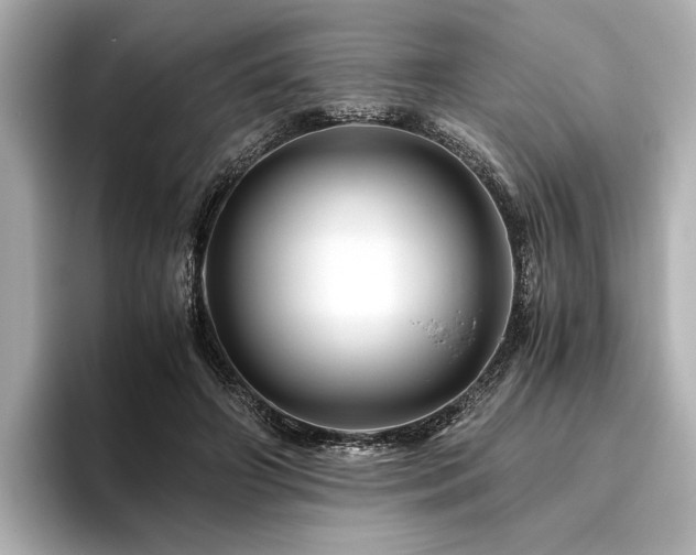 X0000096480498200801241447