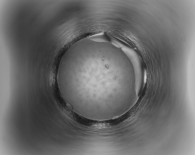 X0000096480499200801241447