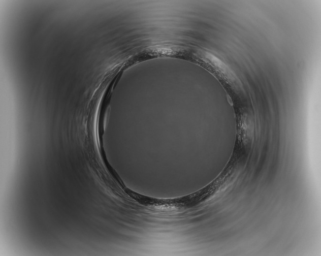 X0000096480500200801241447