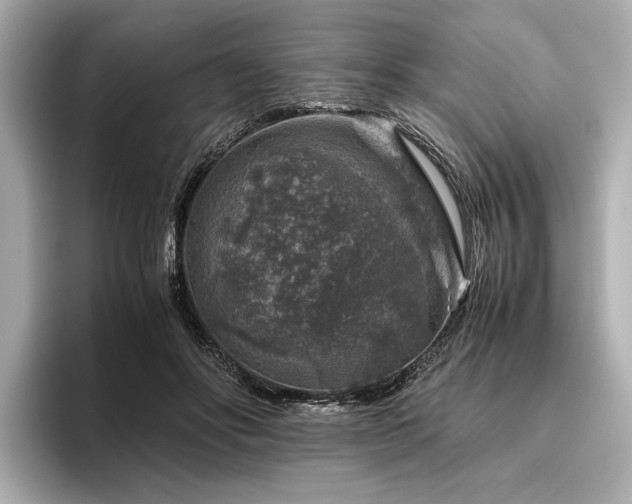 X0000096480502200801241447