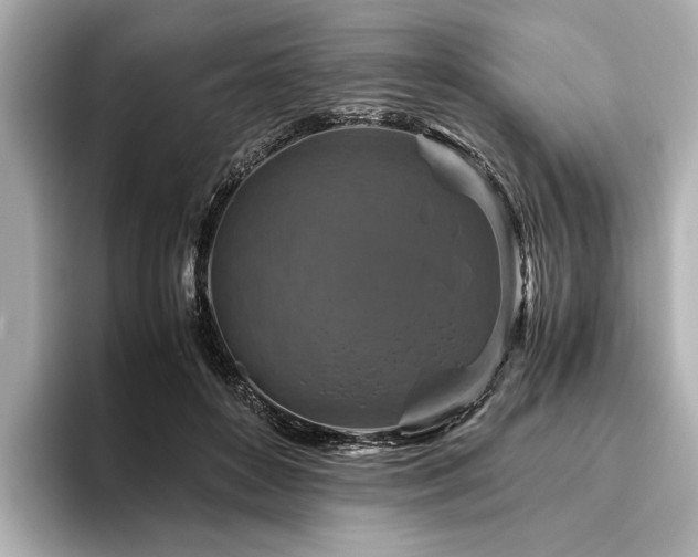 X0000096480504200801241447