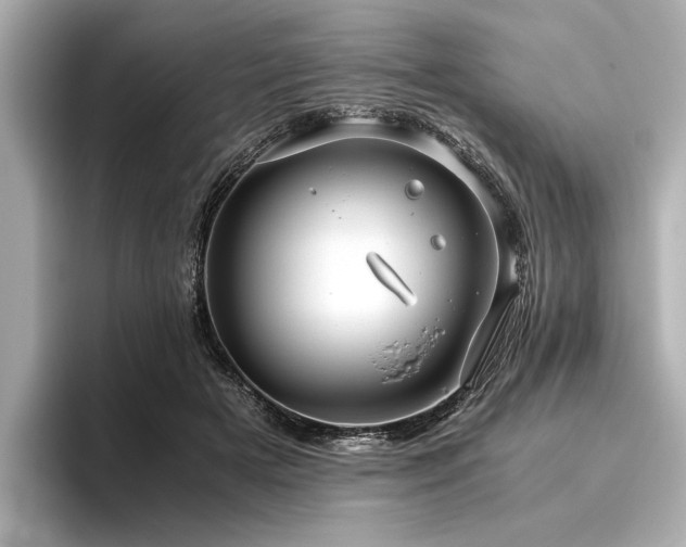 X0000096480505200801241447