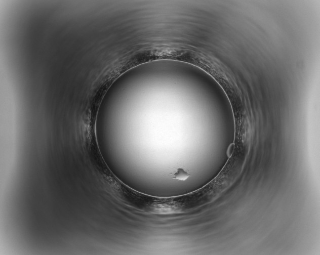 X0000096480510200801241447