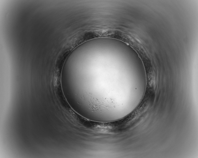 X0000096480515200801241447