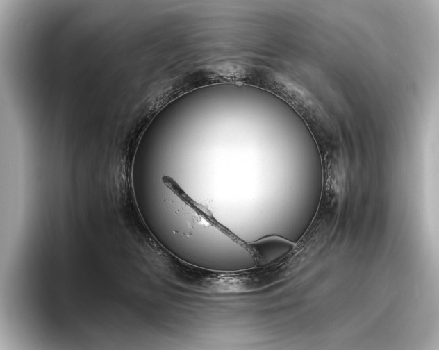 X0000096480518200801241447