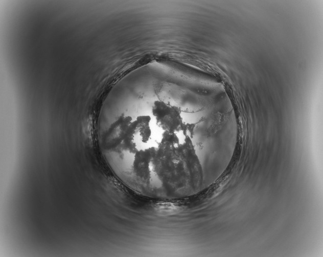 X0000096480519200801241447