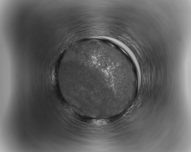 X0000096480520200801241447