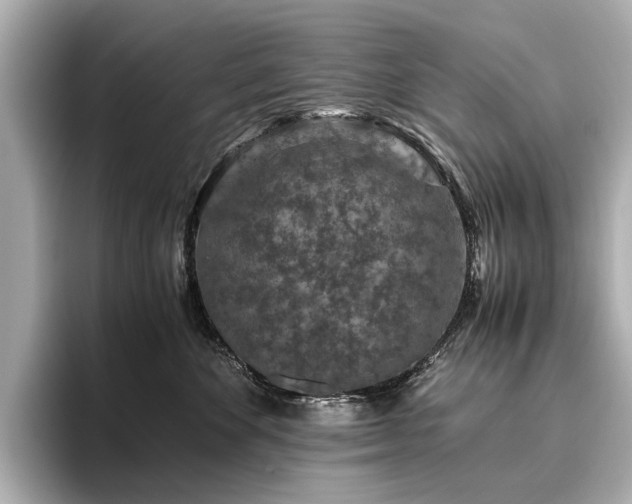 X0000096480524200801241447