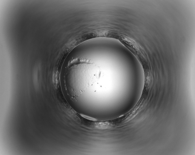 X0000096480525200801241447