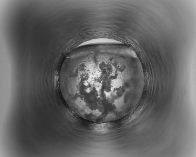 X0000096480527200801241447