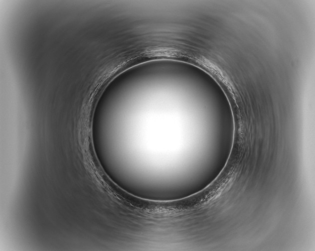 X0000096480529200801241446