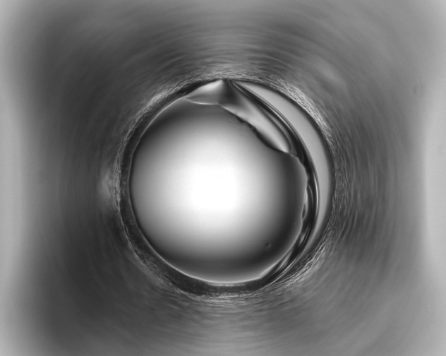 X0000096480530200801241446