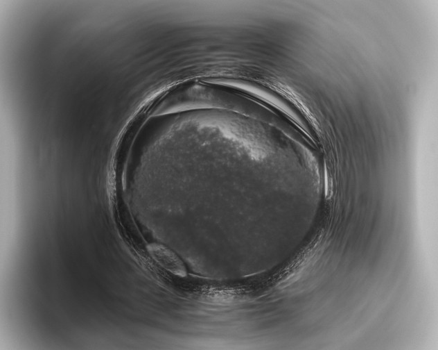 X0000096480531200801241446