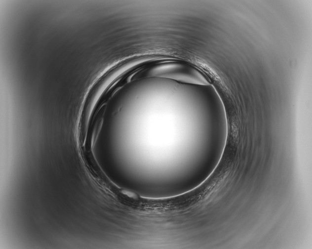 X0000096480532200801241446