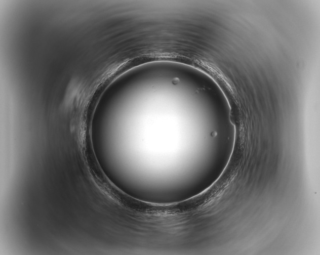 X0000096480533200801241446