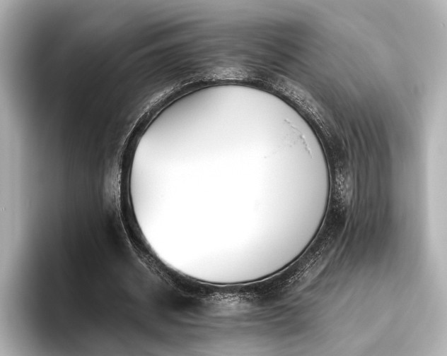 X0000096480534200801241446