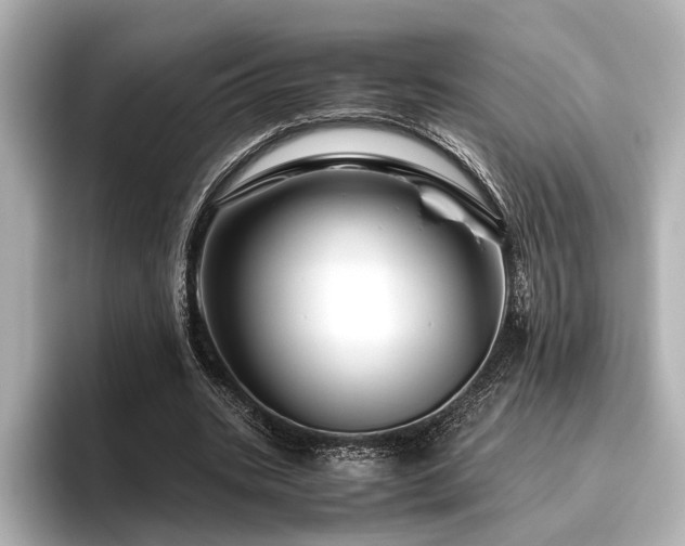 X0000096480535200801241446