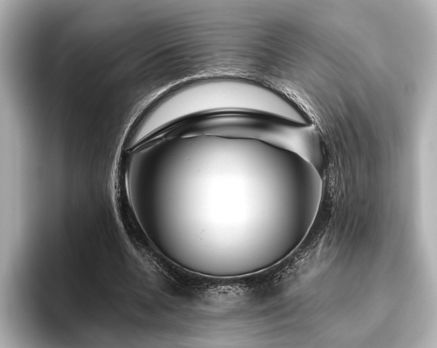 X0000096480536200801241446