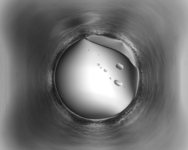 X0000096480537200801241446