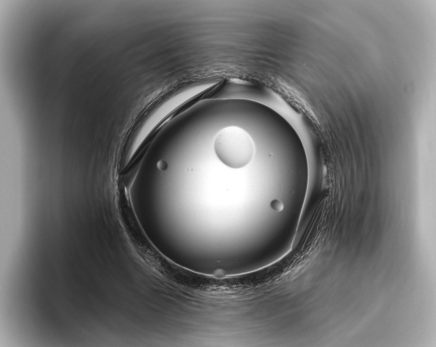 X0000096480538200801241446