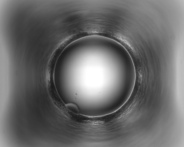 X0000096480539200801241446