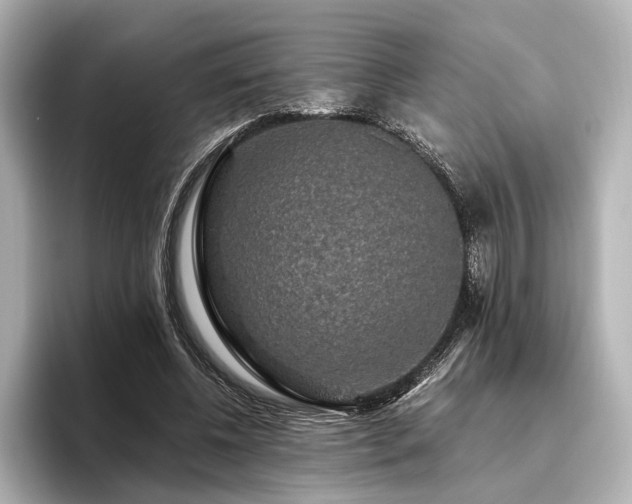 X0000096480540200801241446