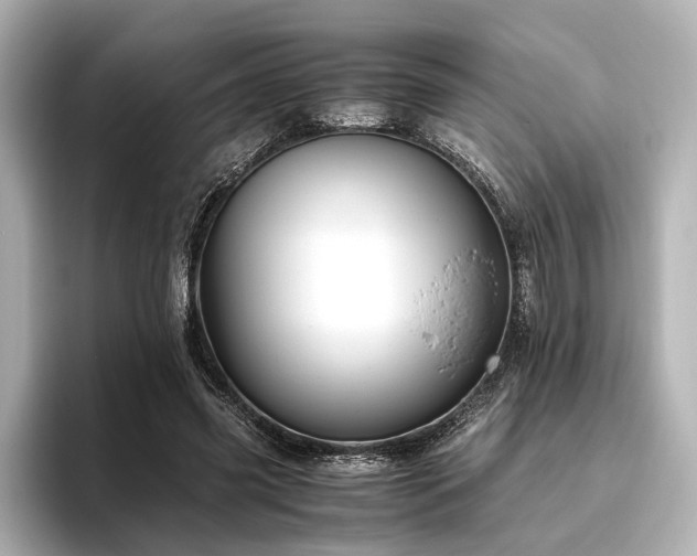 X0000096480541200801241446