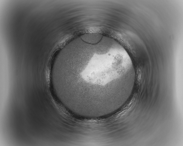 X0000096480542200801241446