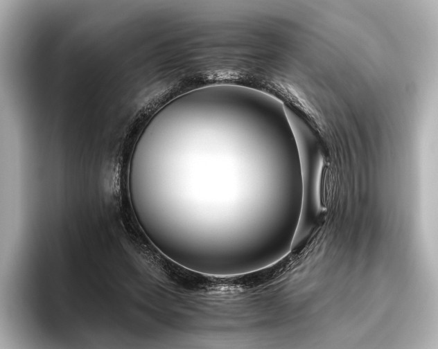 X0000096480543200801241446