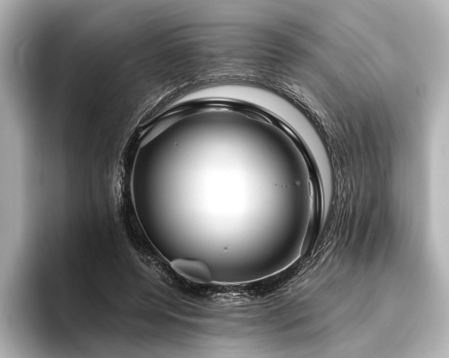 X0000096480544200801241446