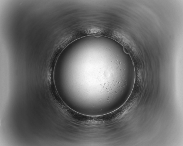 X0000096480545200801241446