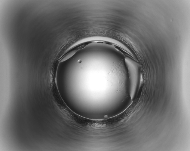 X0000096480546200801241446