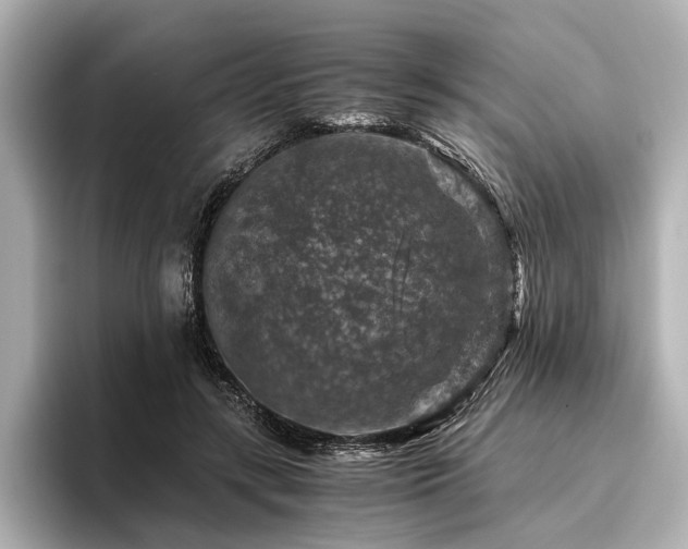 X0000096480547200801241446