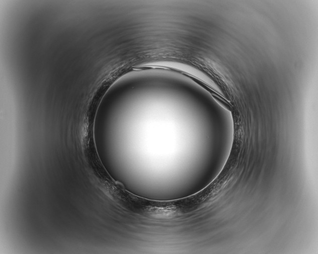 X0000096480548200801241446