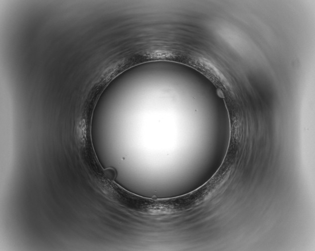 X0000096480549200801241446