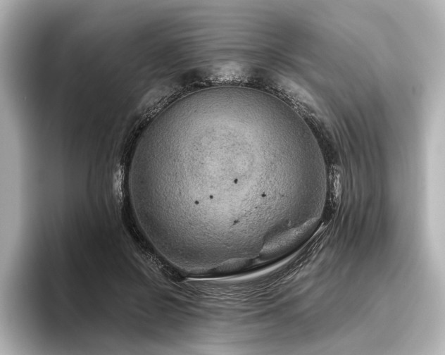 X0000096480550200801241446