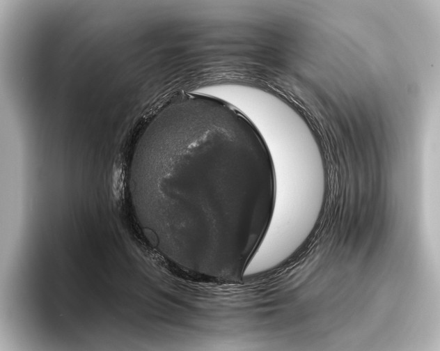 X0000096480551200801241446