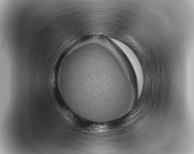 X0000096480552200801241446