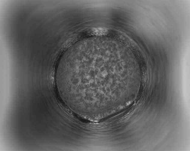 X0000096480553200801241446