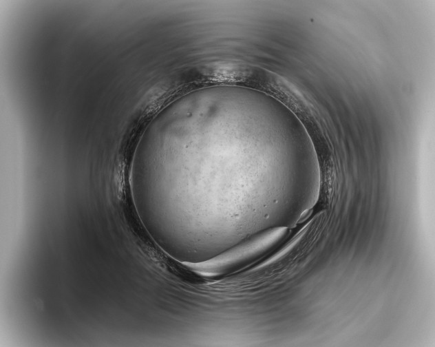 X0000096480554200801241446