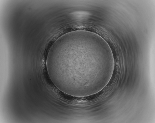 X0000096480555200801241446