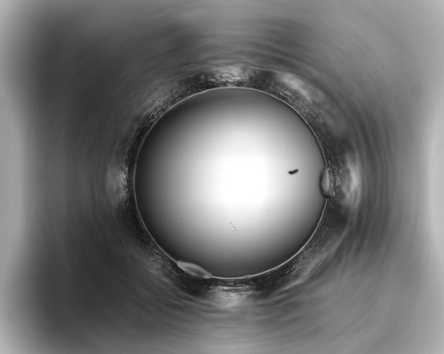 X0000096480556200801241446