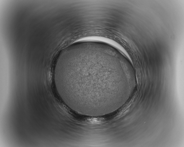 X0000096480558200801241446