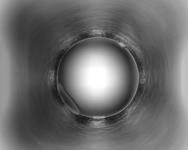 X0000096480560200801241446