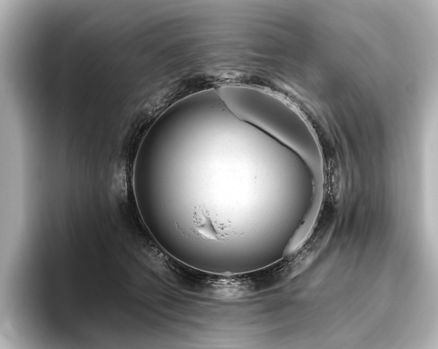 X0000096480562200801241446