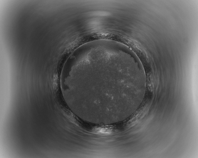 X0000096480563200801241447