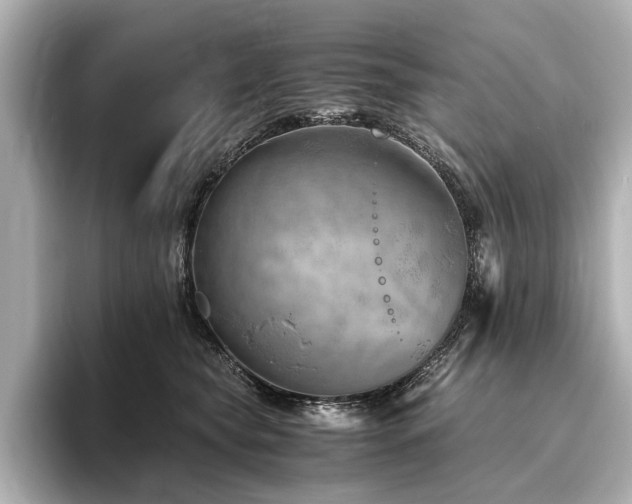 X0000096480565200801241447